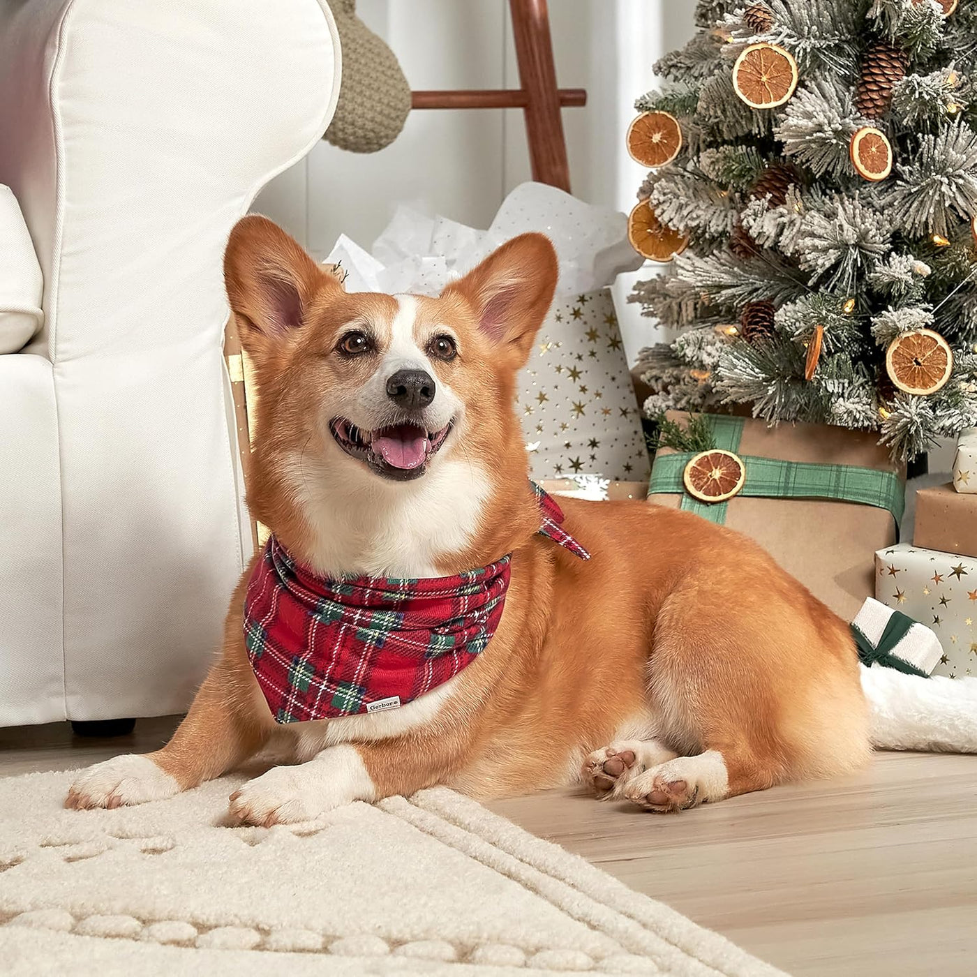 Holiday Family Matching Pajamas, Men'S 2-Piece, Red Stewart Plaid, Large